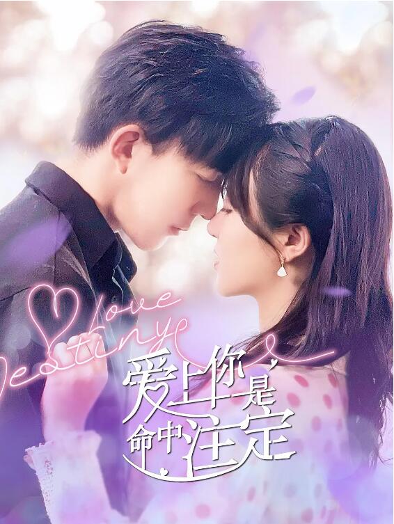 爱上你是命中注定 - 第12集完结_剧情解读_亦凡影戏-影评网